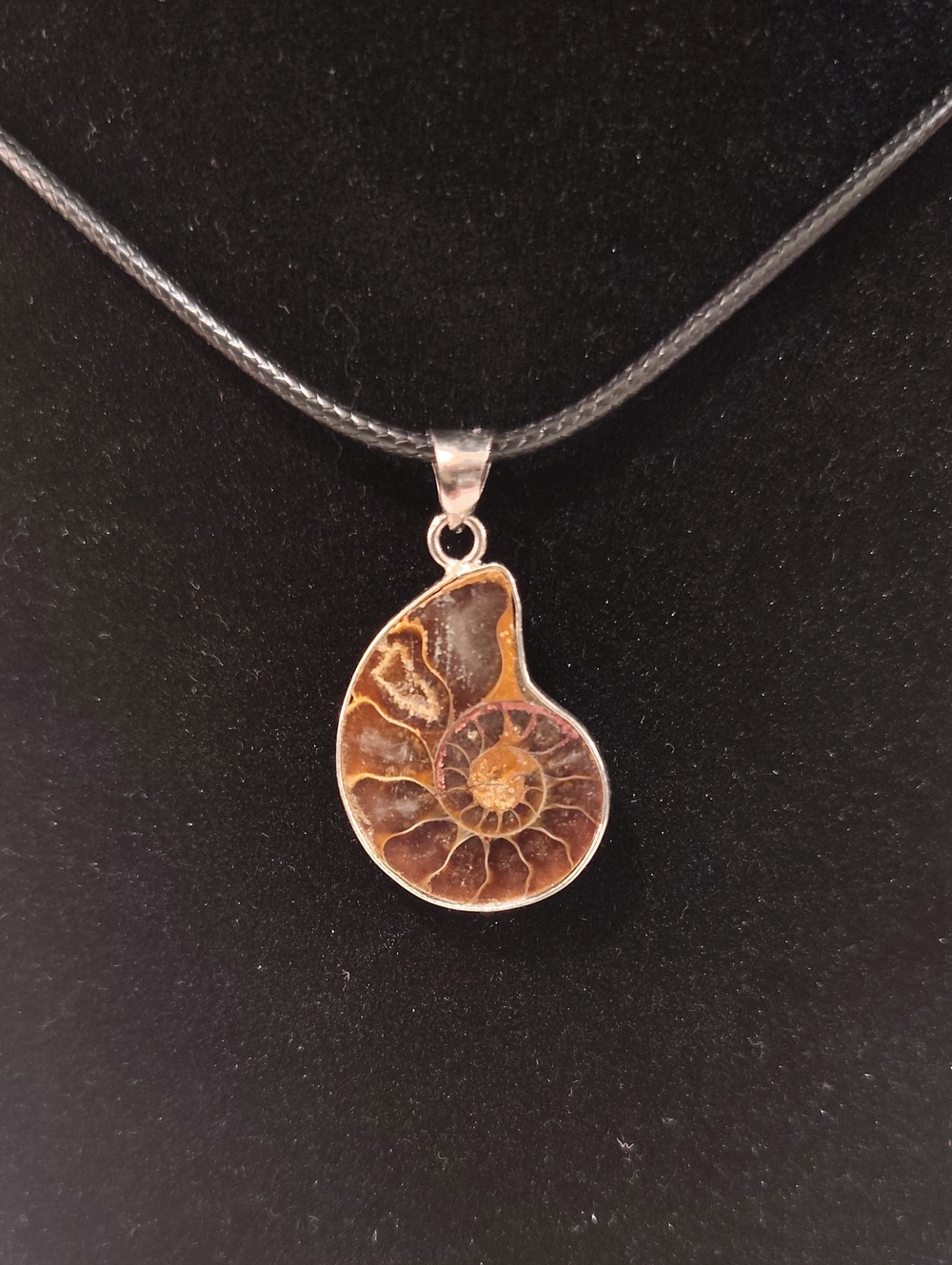 Ammonite Fossil Pendant Necklace